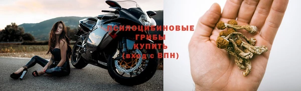 мяу мяу мука Белокуриха