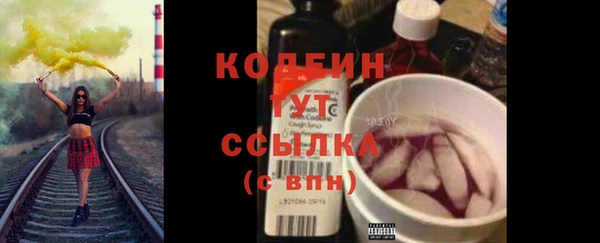 дмт Анива
