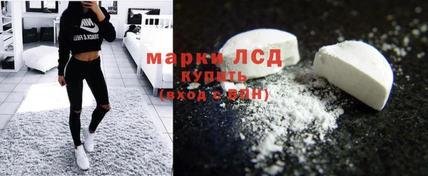 СК Апатиты